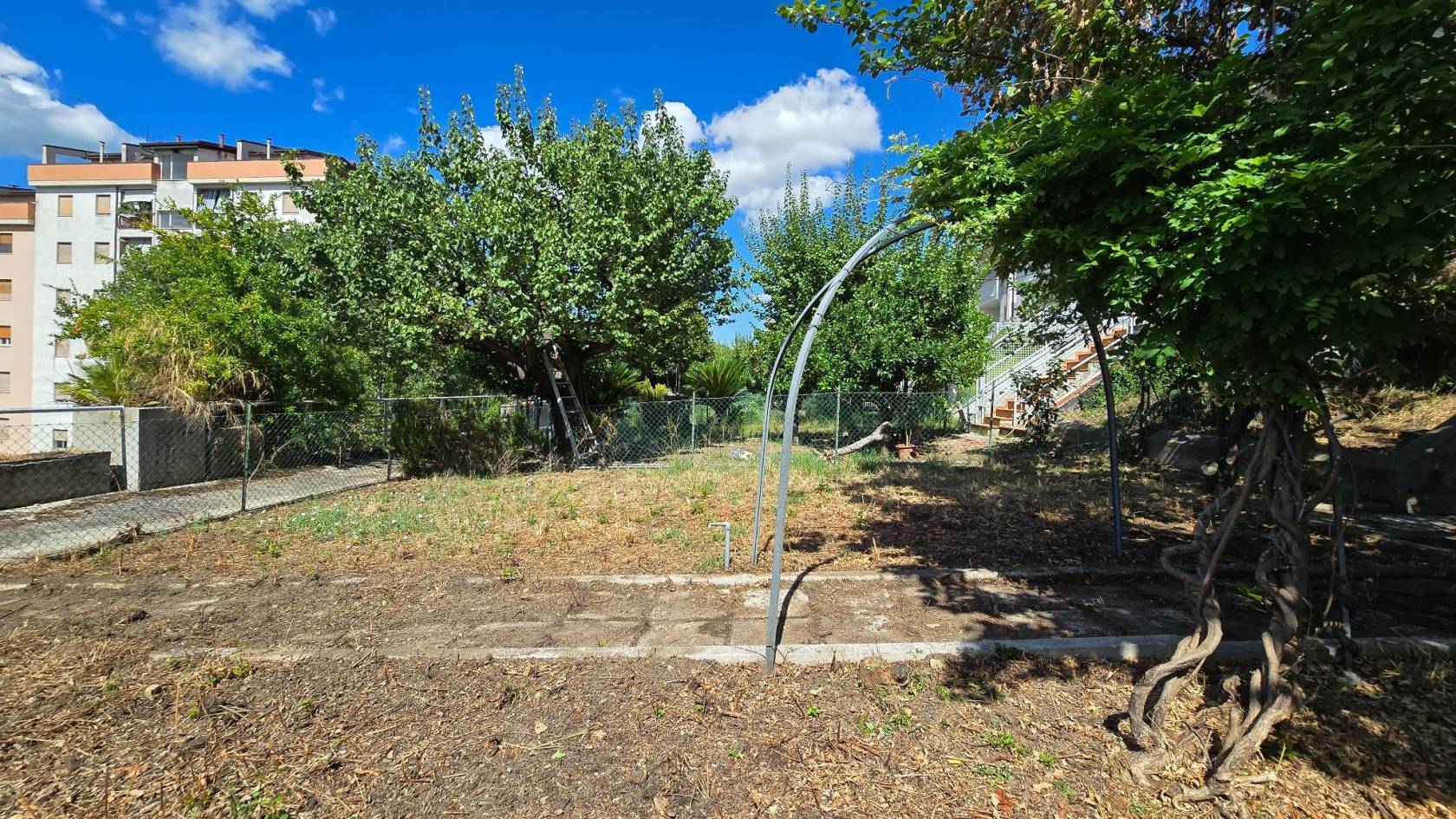Giardino