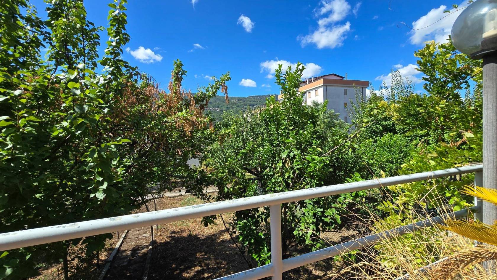 Vista