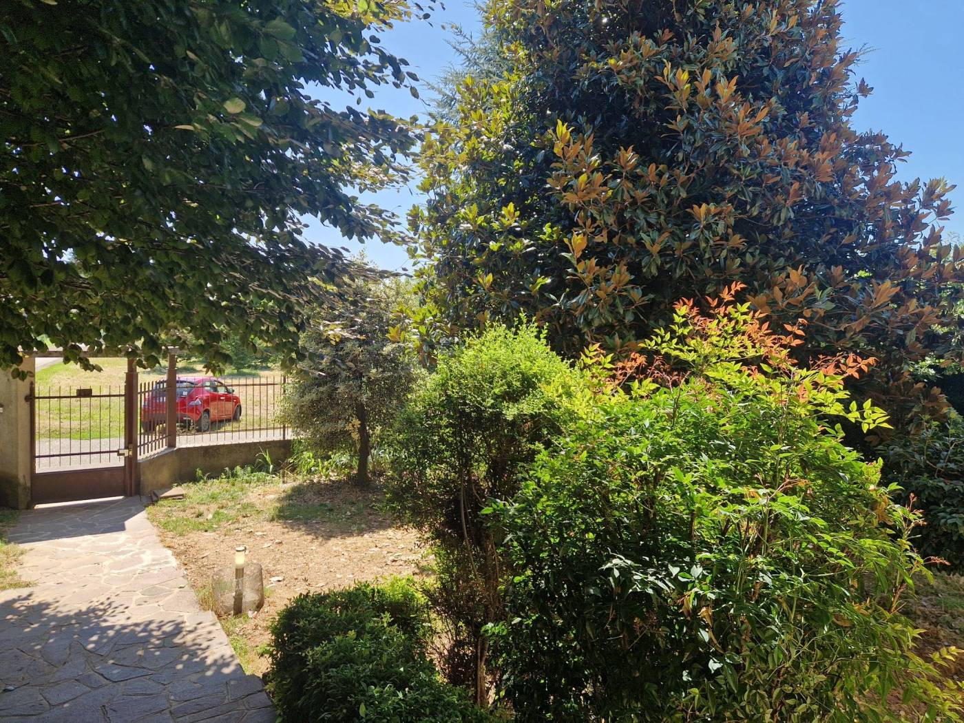 Giardino