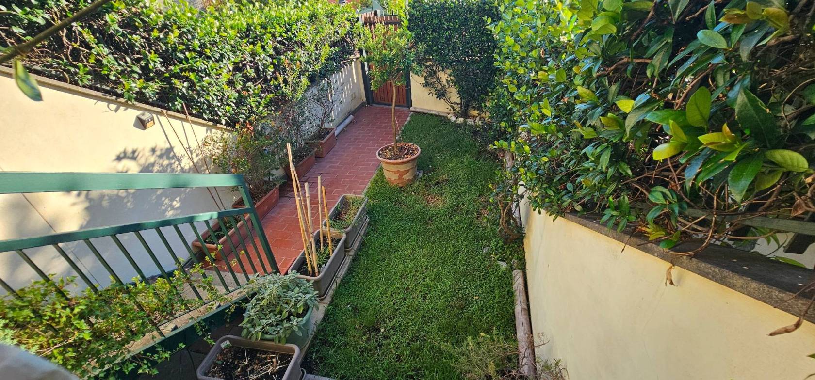 Giardino