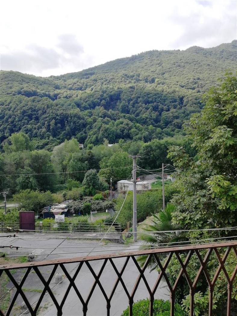Vista