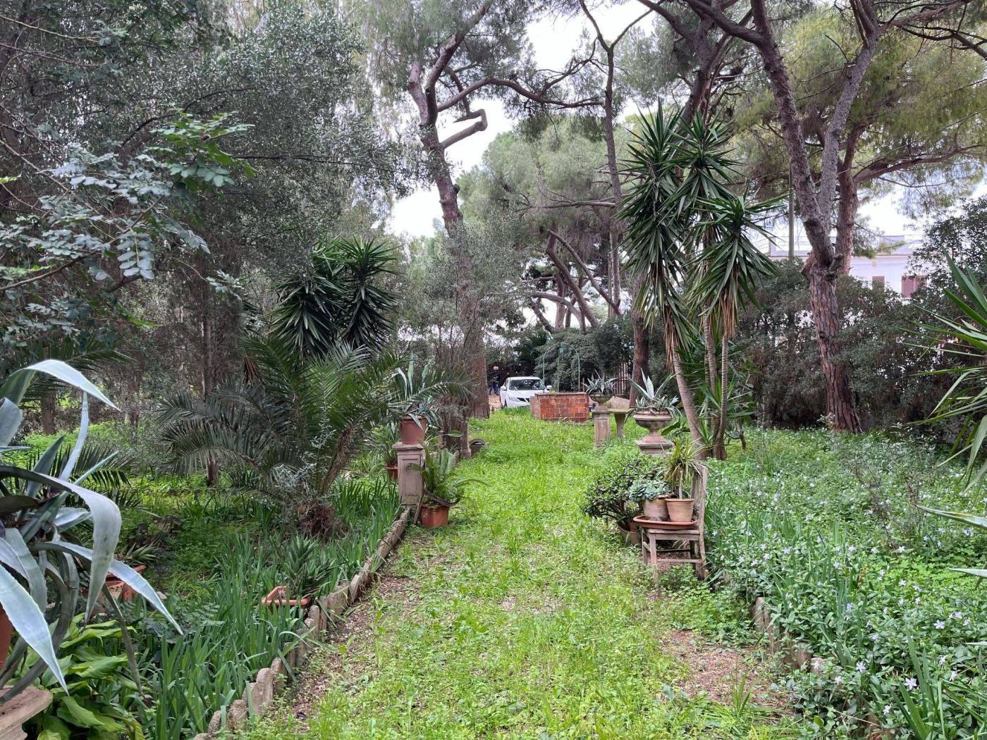 Giardino