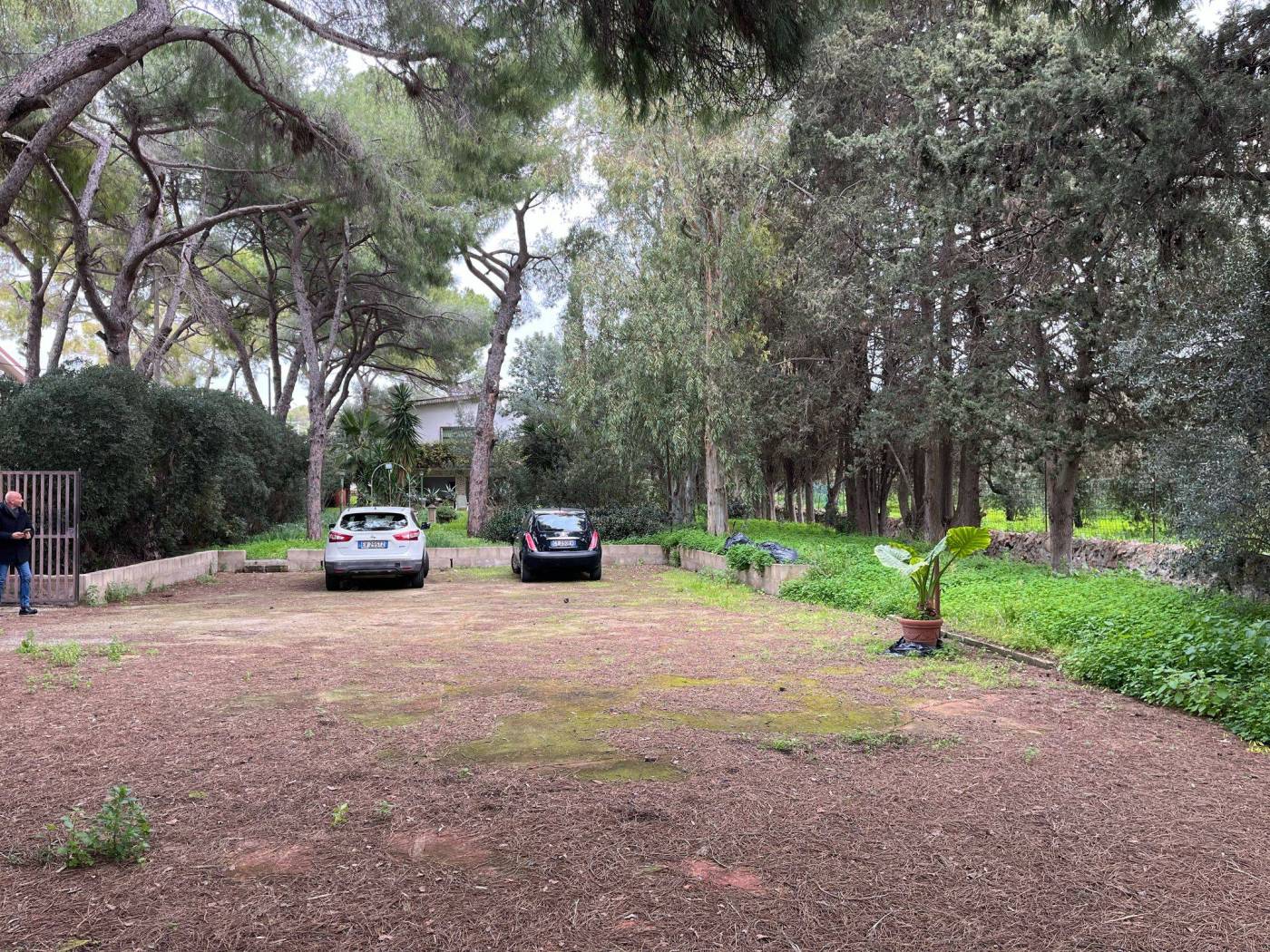 Terreno