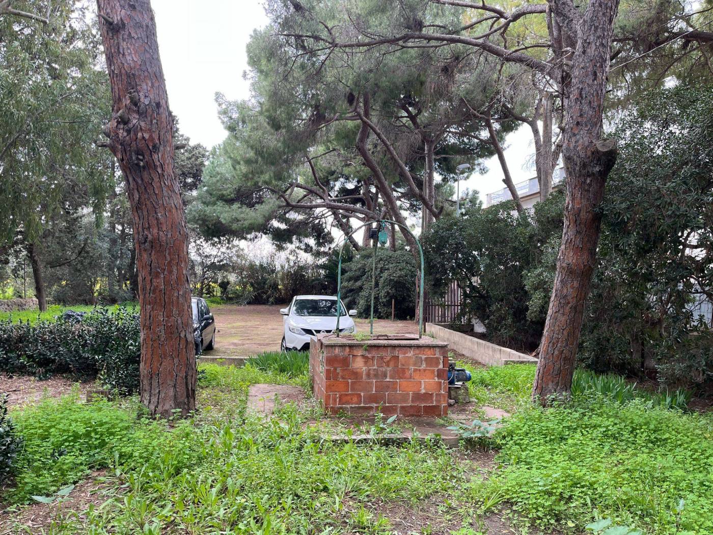 Giardino