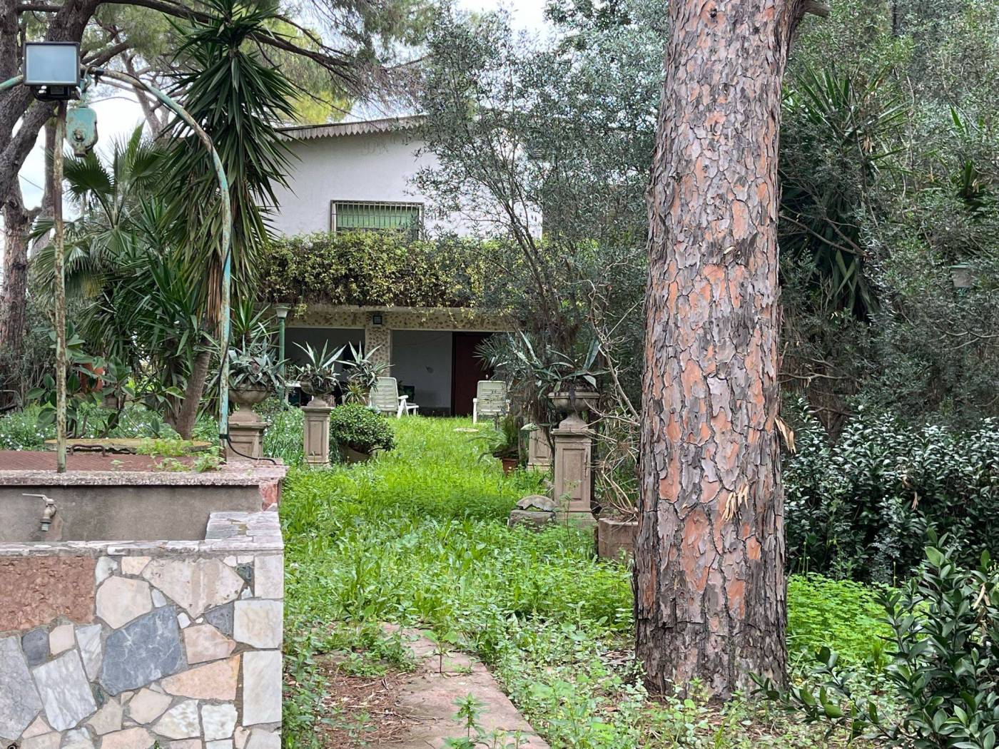 Giardino
