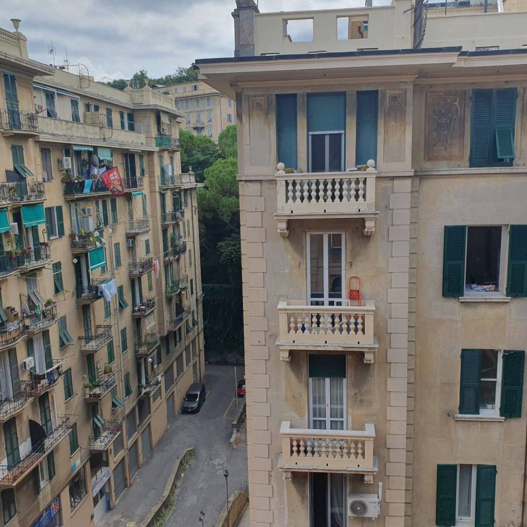 Vista