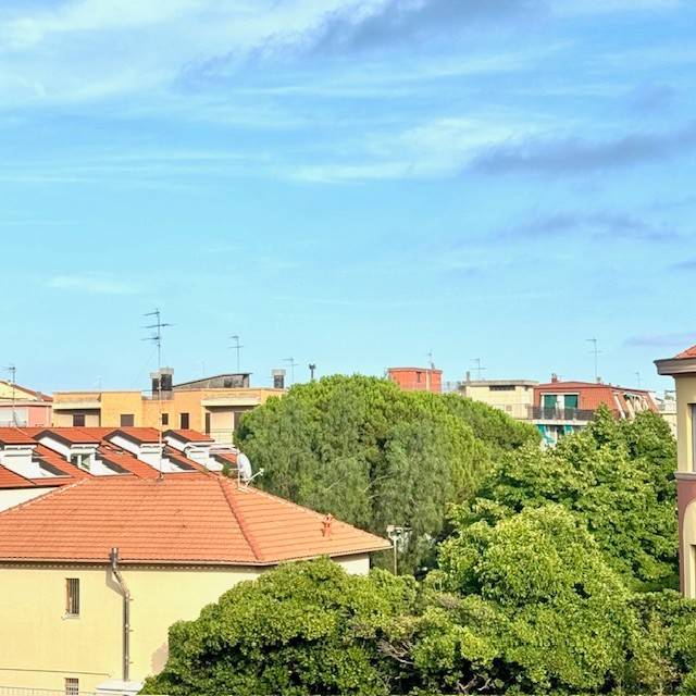 Vista