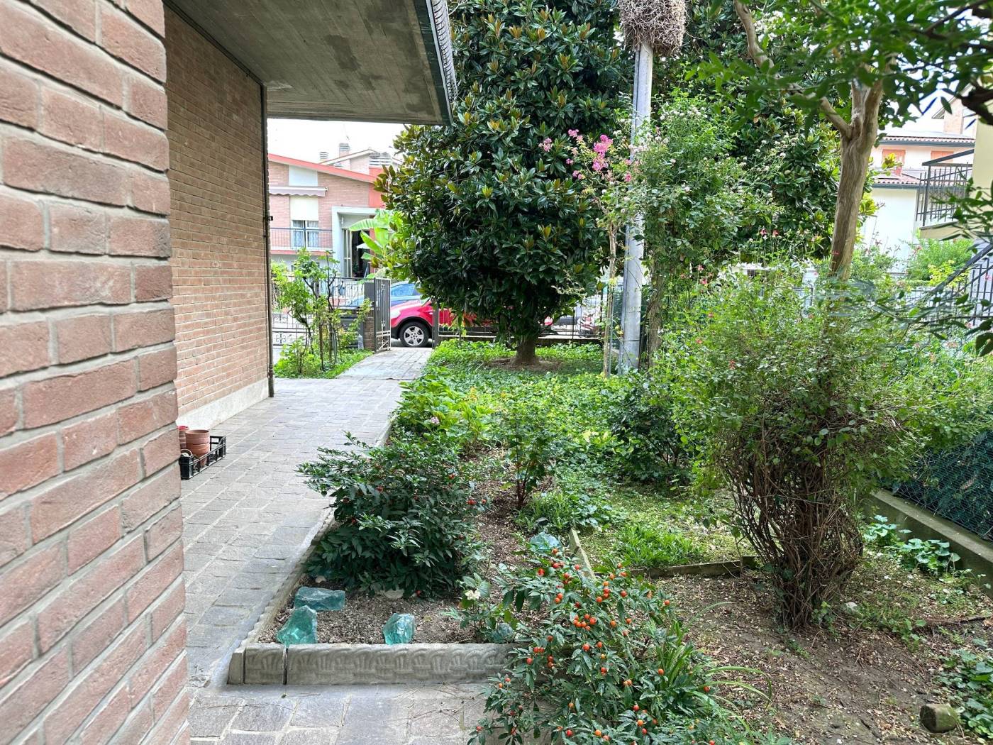 Giardino