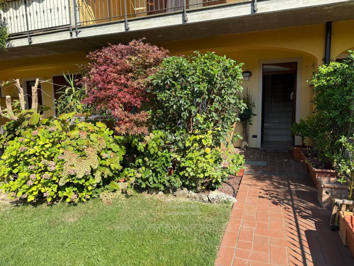 Giardino