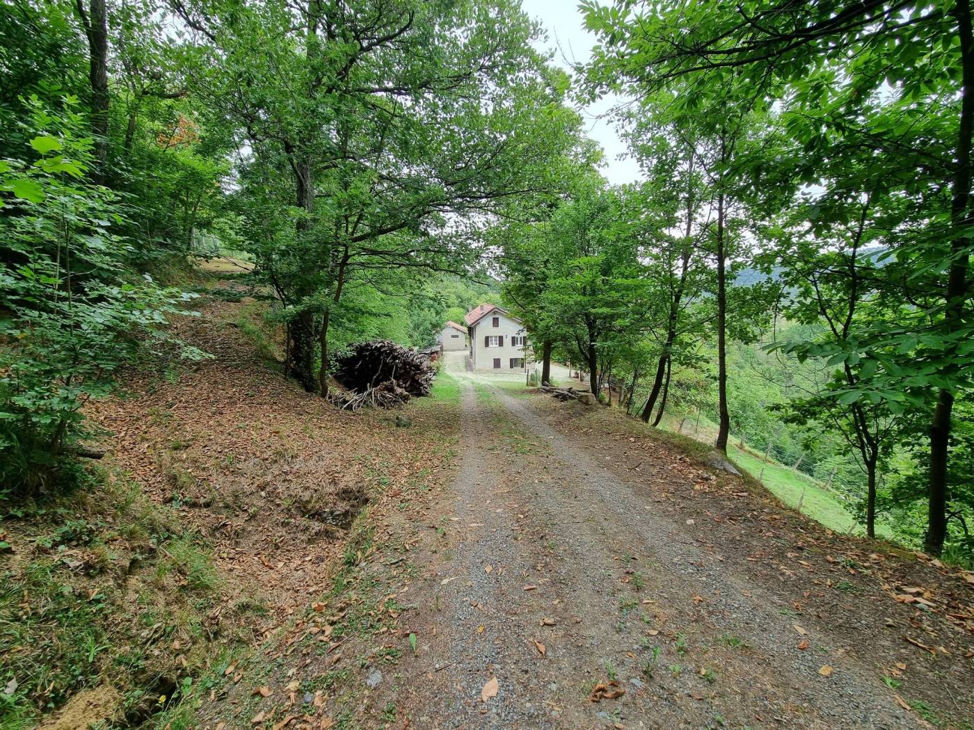 Terreno