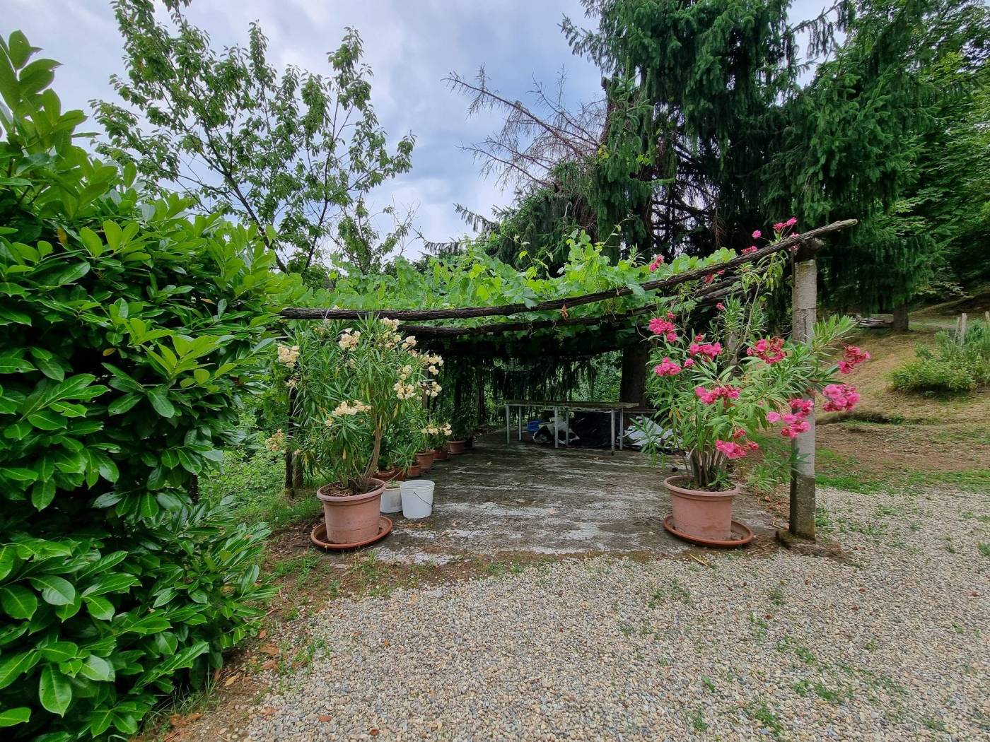 Giardino