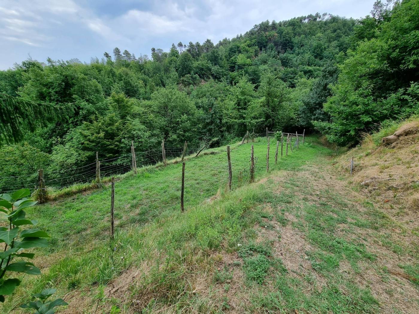 Terreno