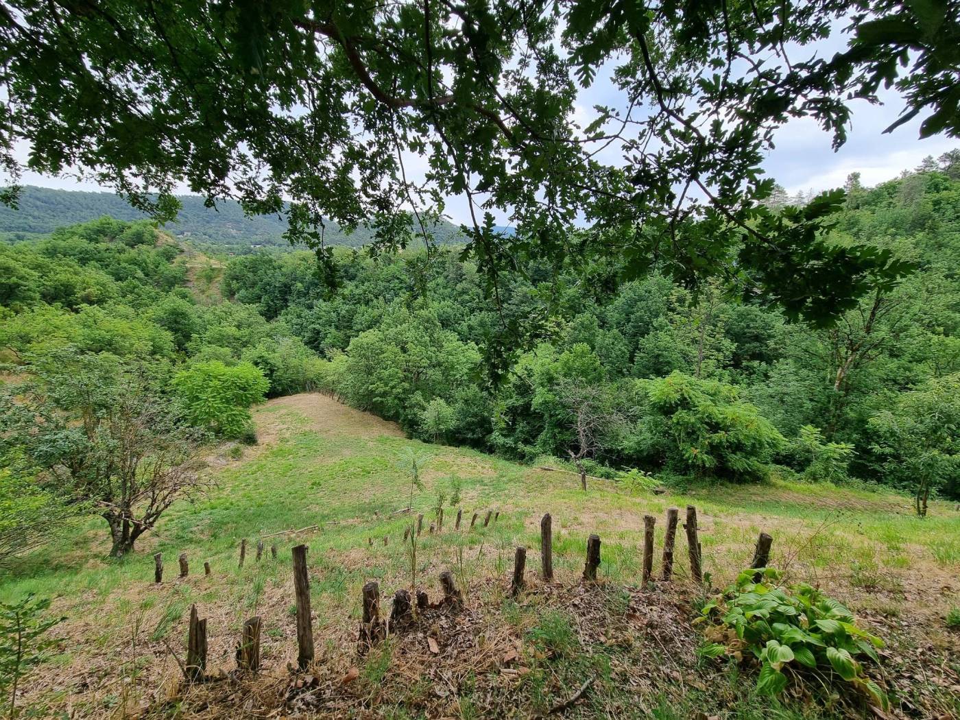 Terreno
