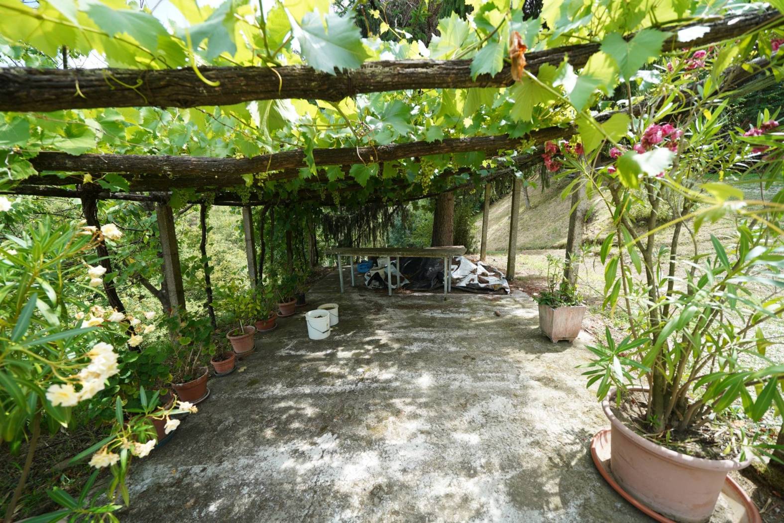 Giardino