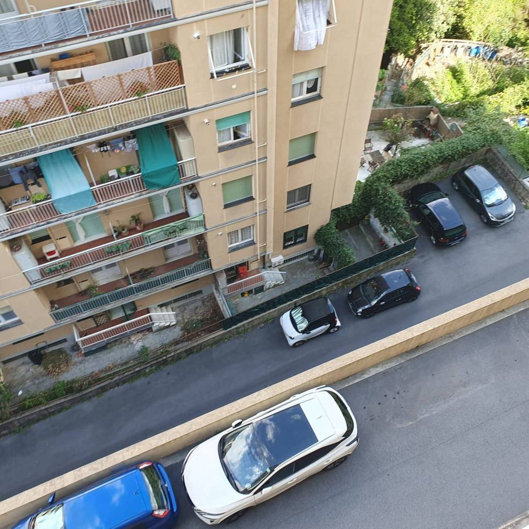 Vista