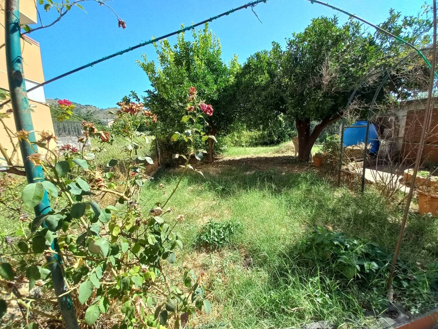 Terreno Terreno