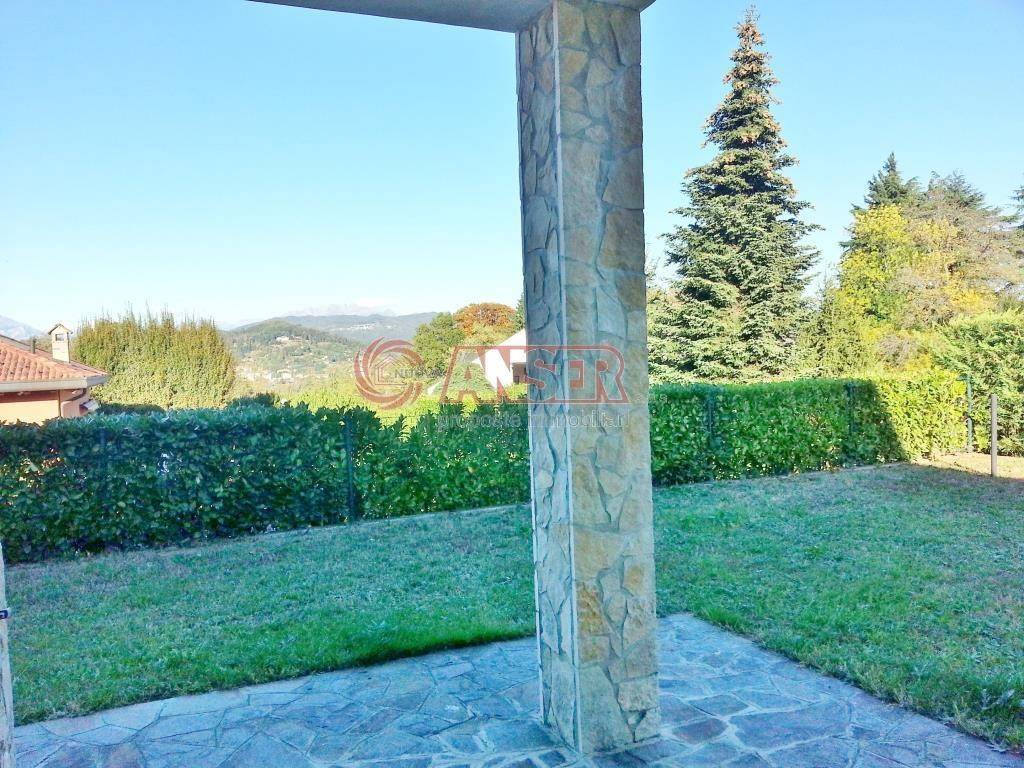 Vista