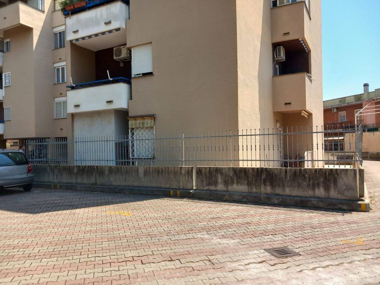Zona