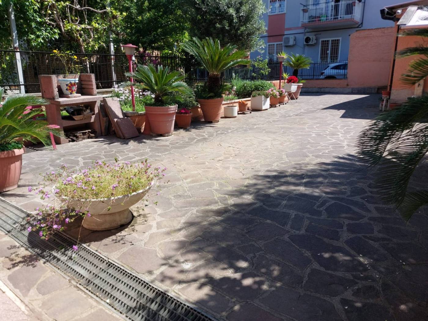 Giardino