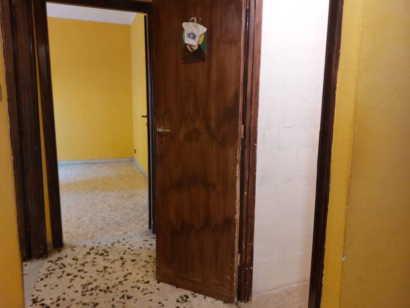 Ingresso