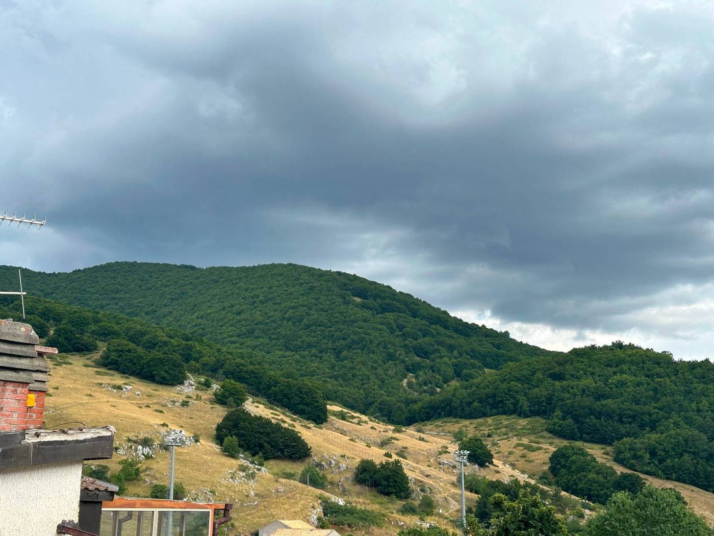 Vista