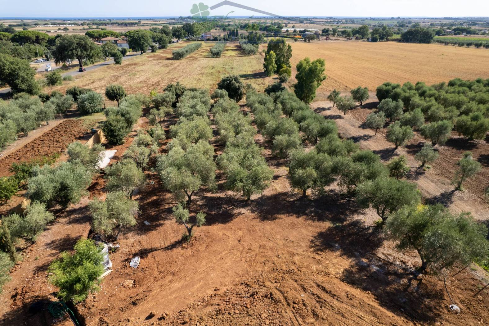 Terreno