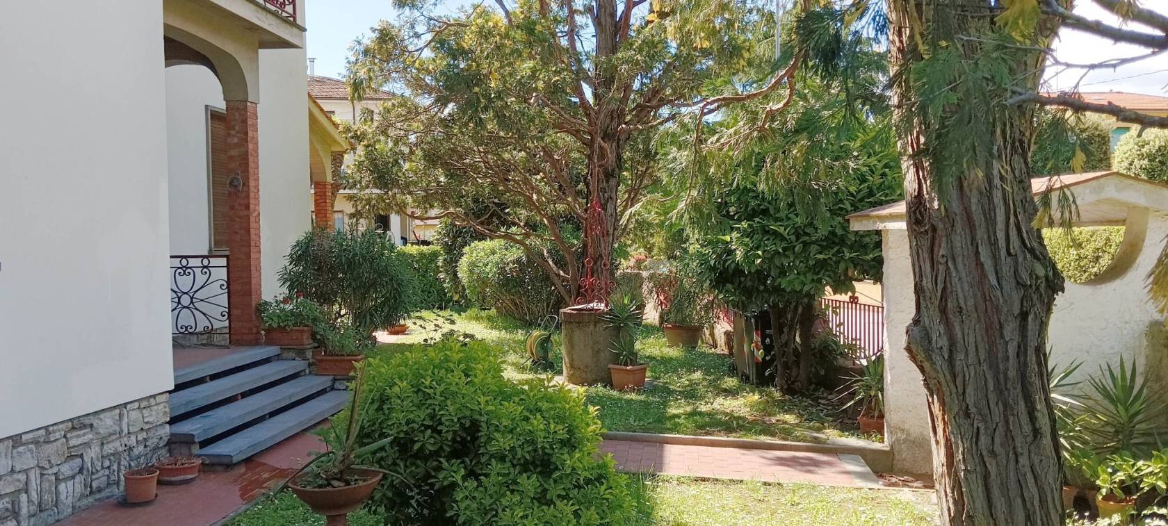 Giardino