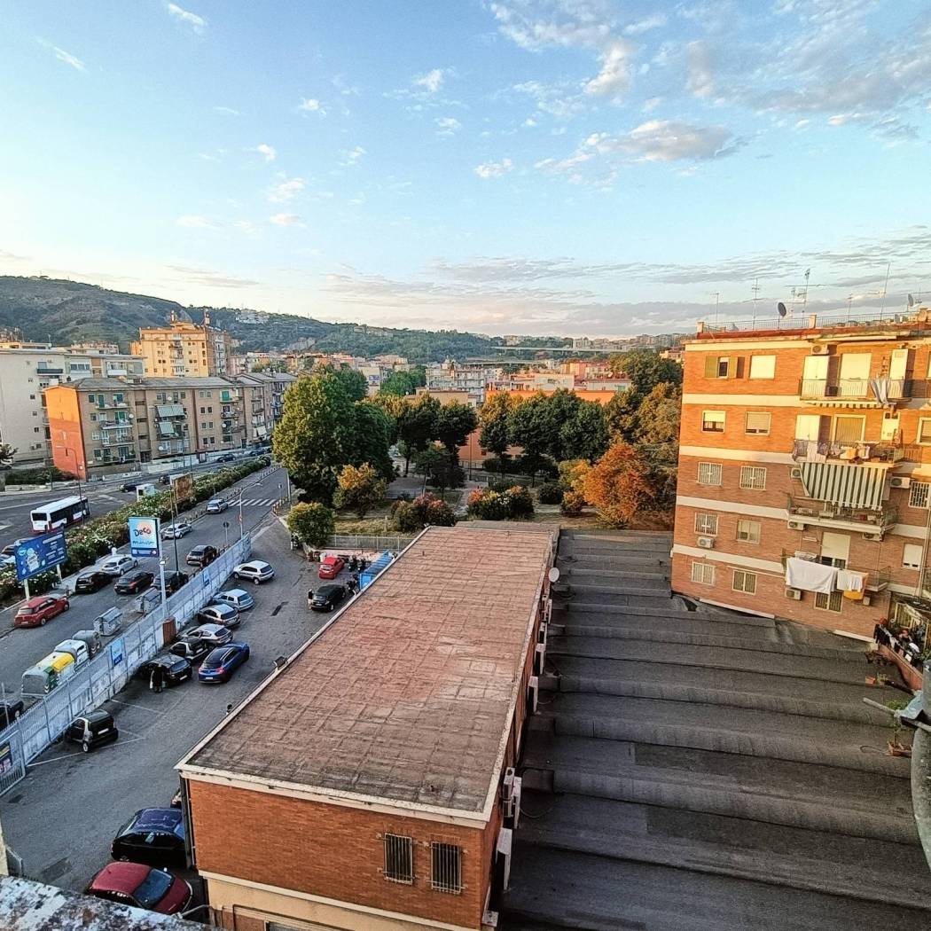 Vista