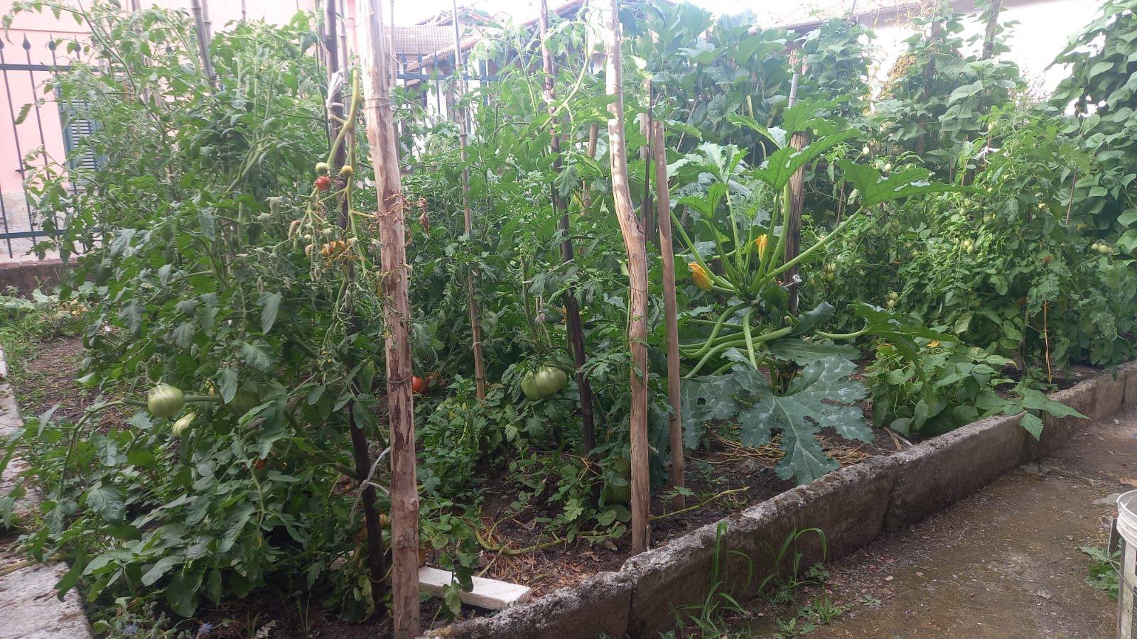 Giardino