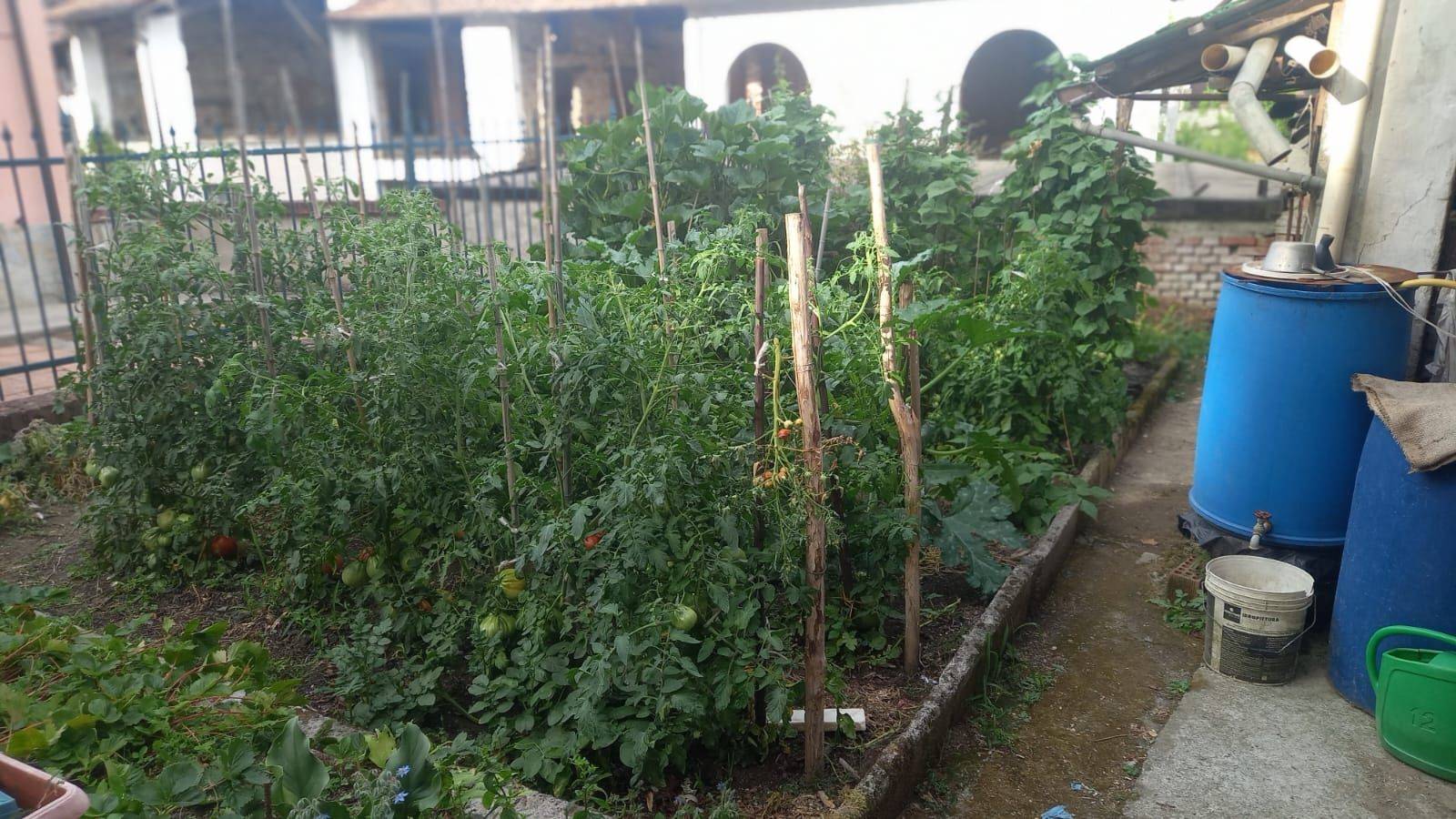 Giardino