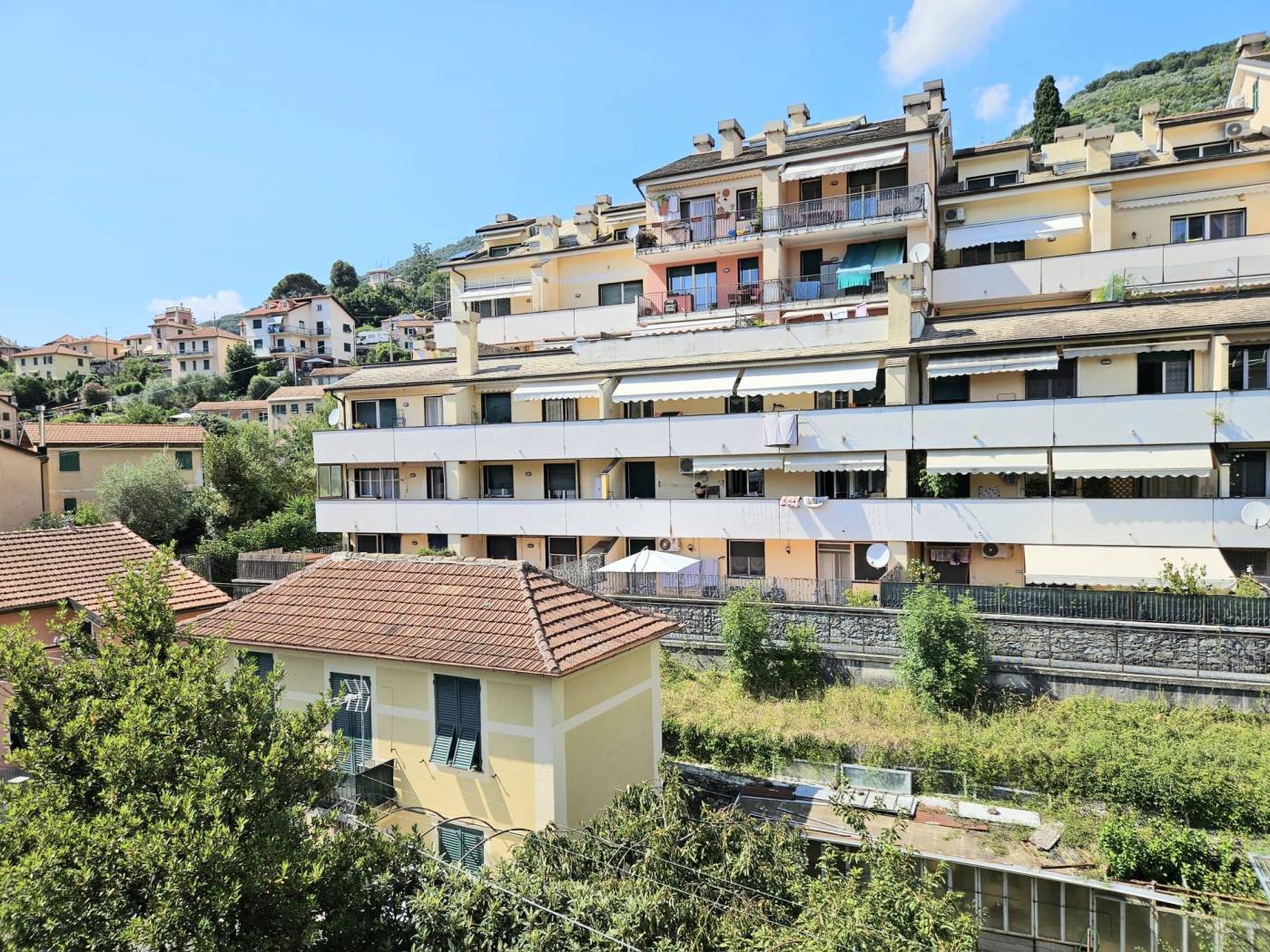 Vista