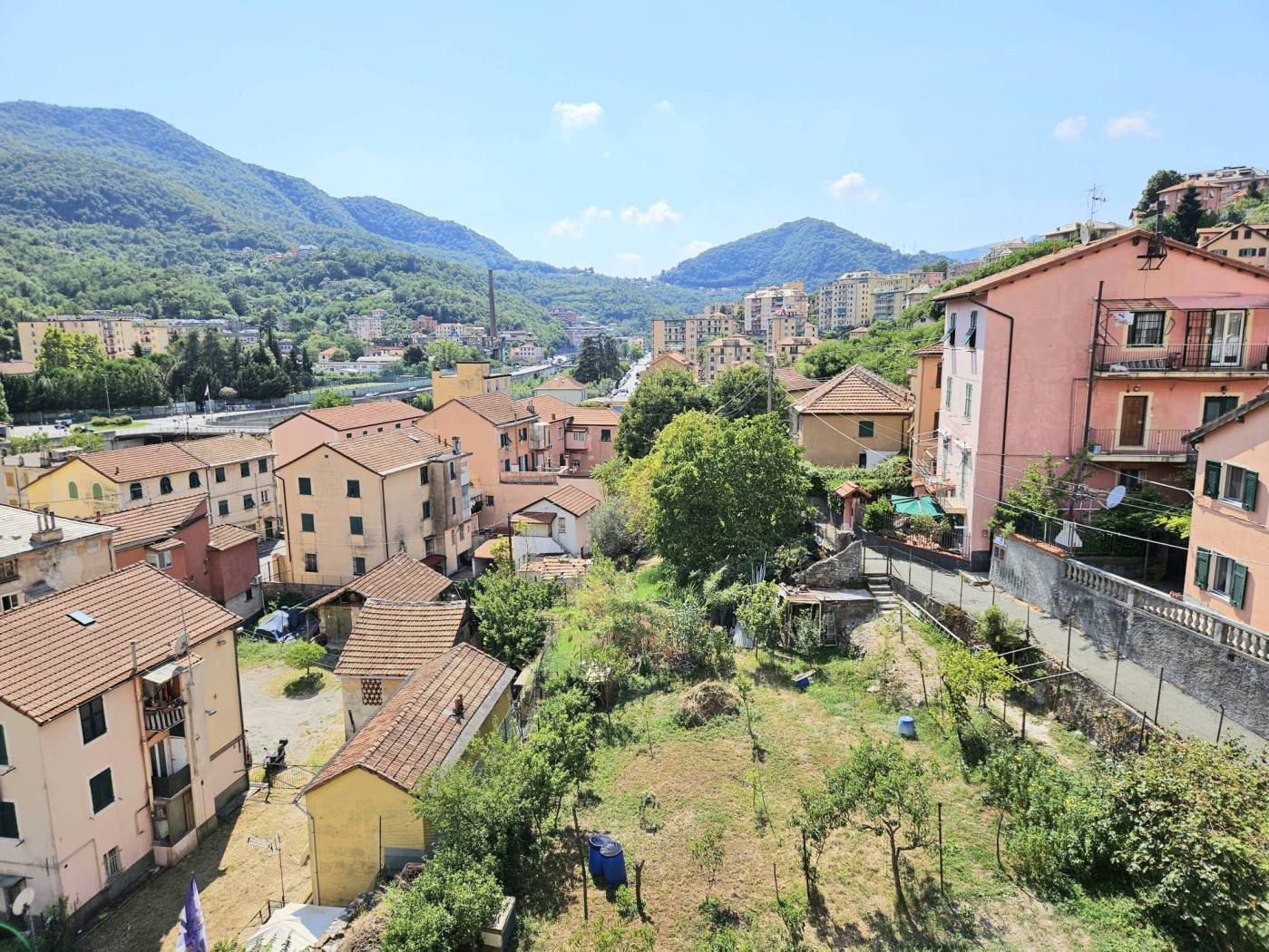 Vista