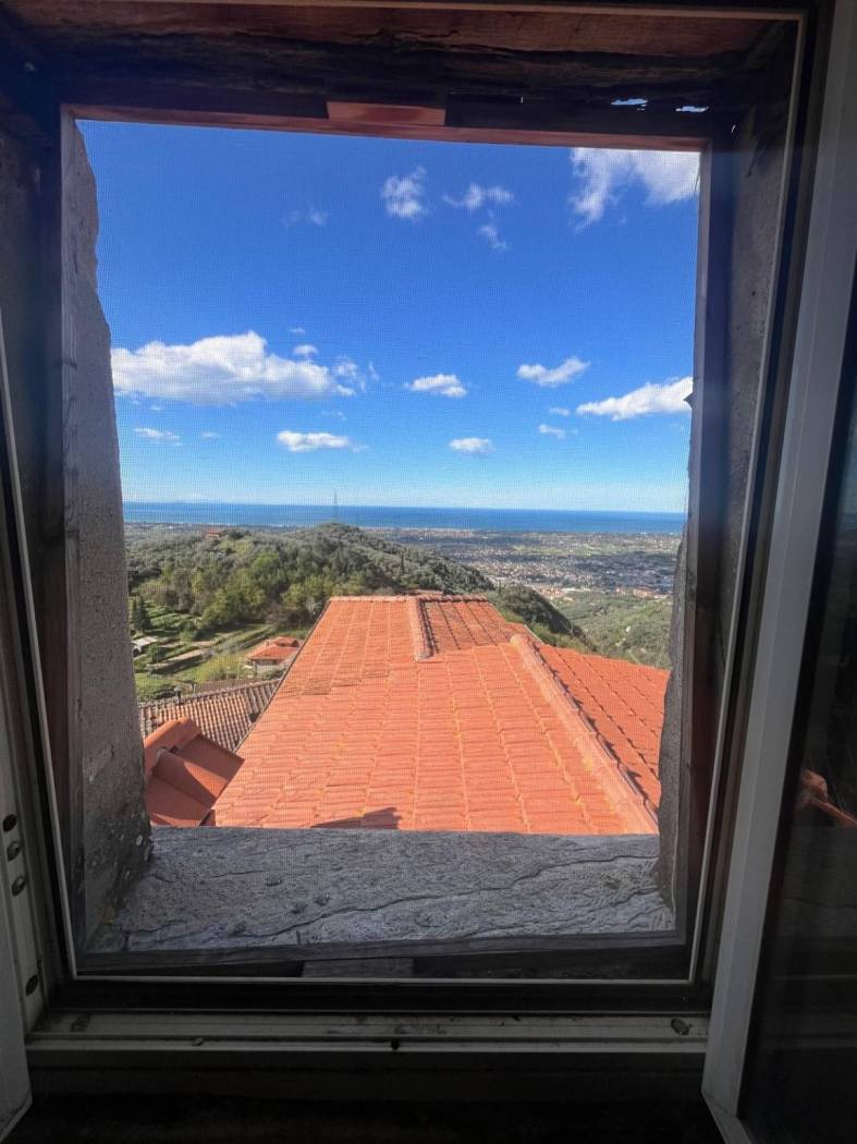 Vista