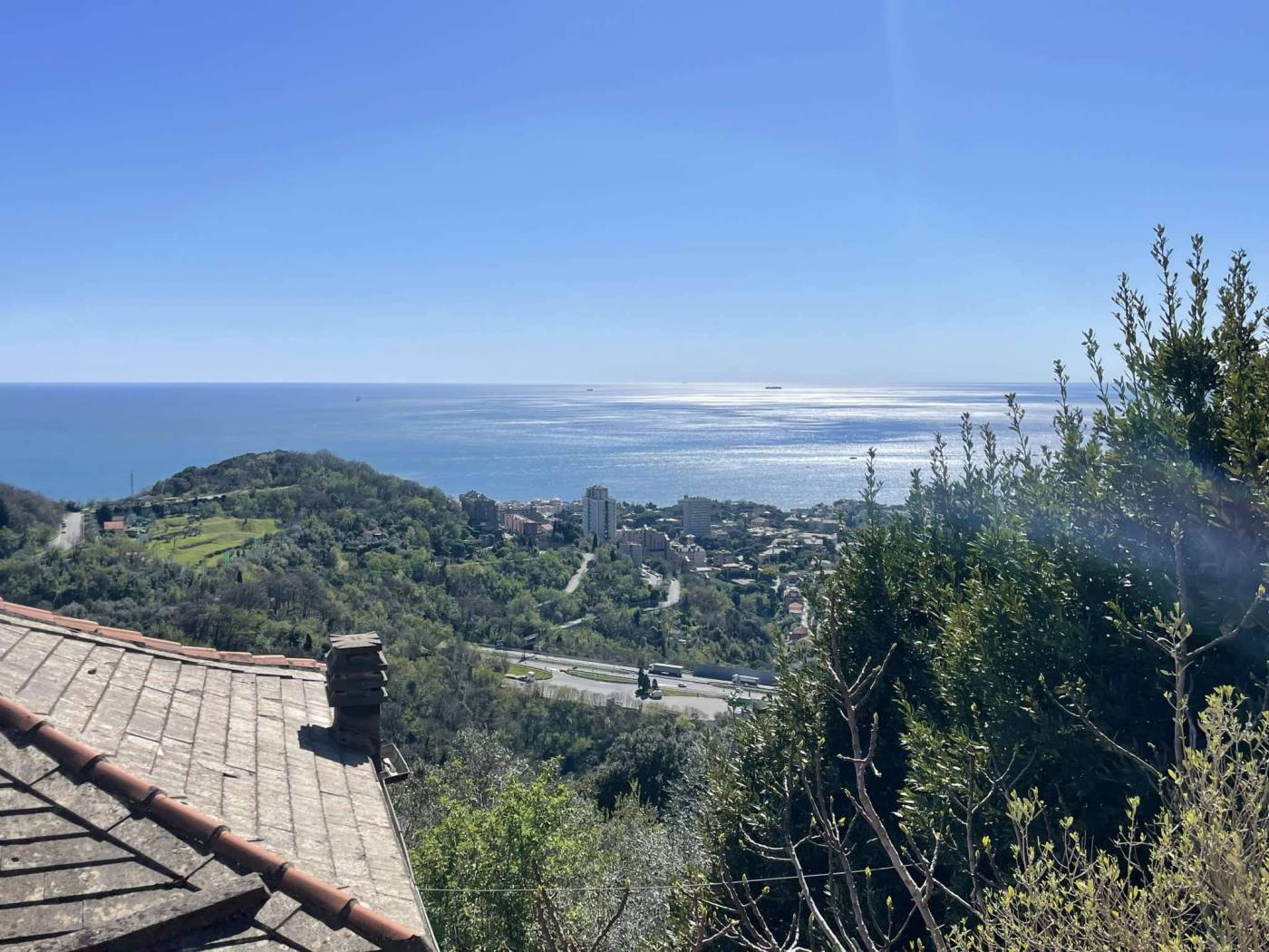 Vista
