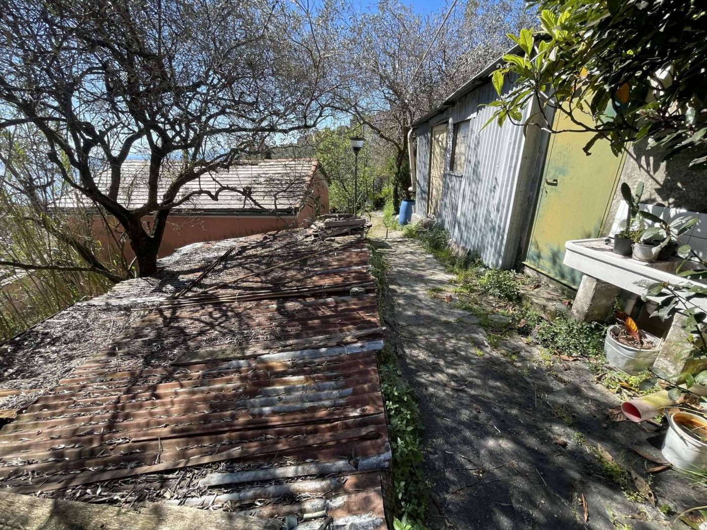 Terreno