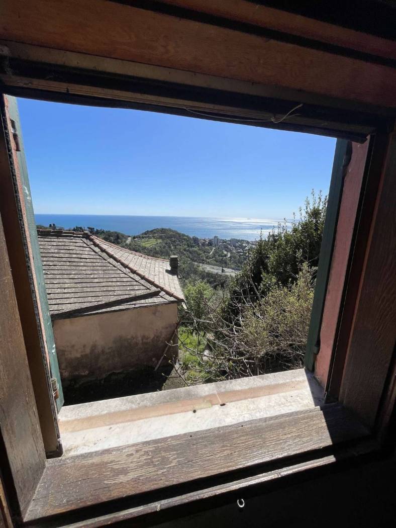 Vista