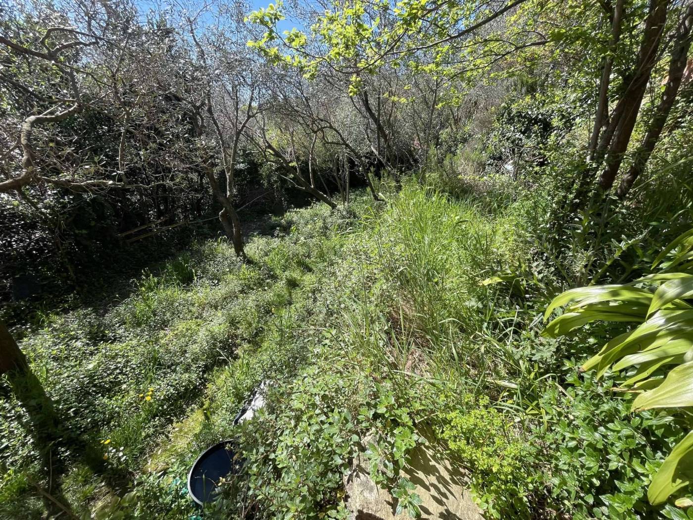 Terreno