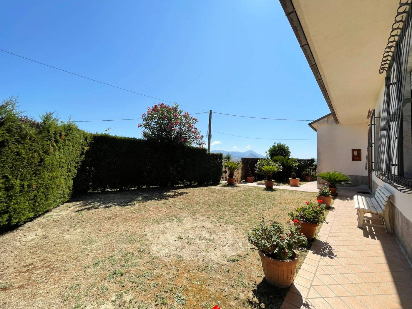 Giardino