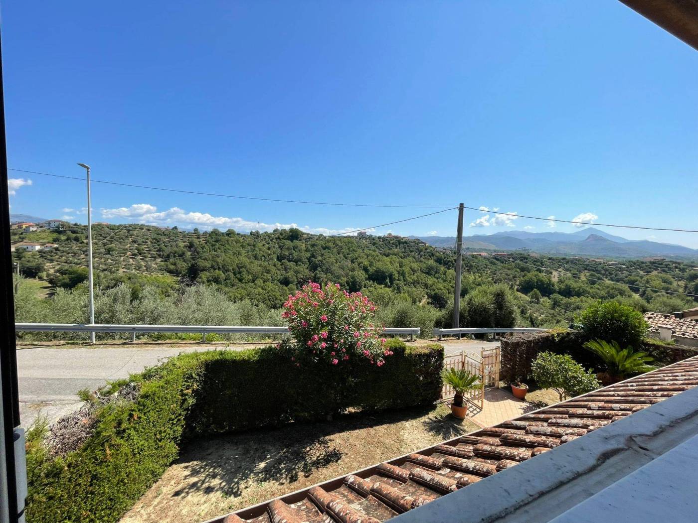 Vista