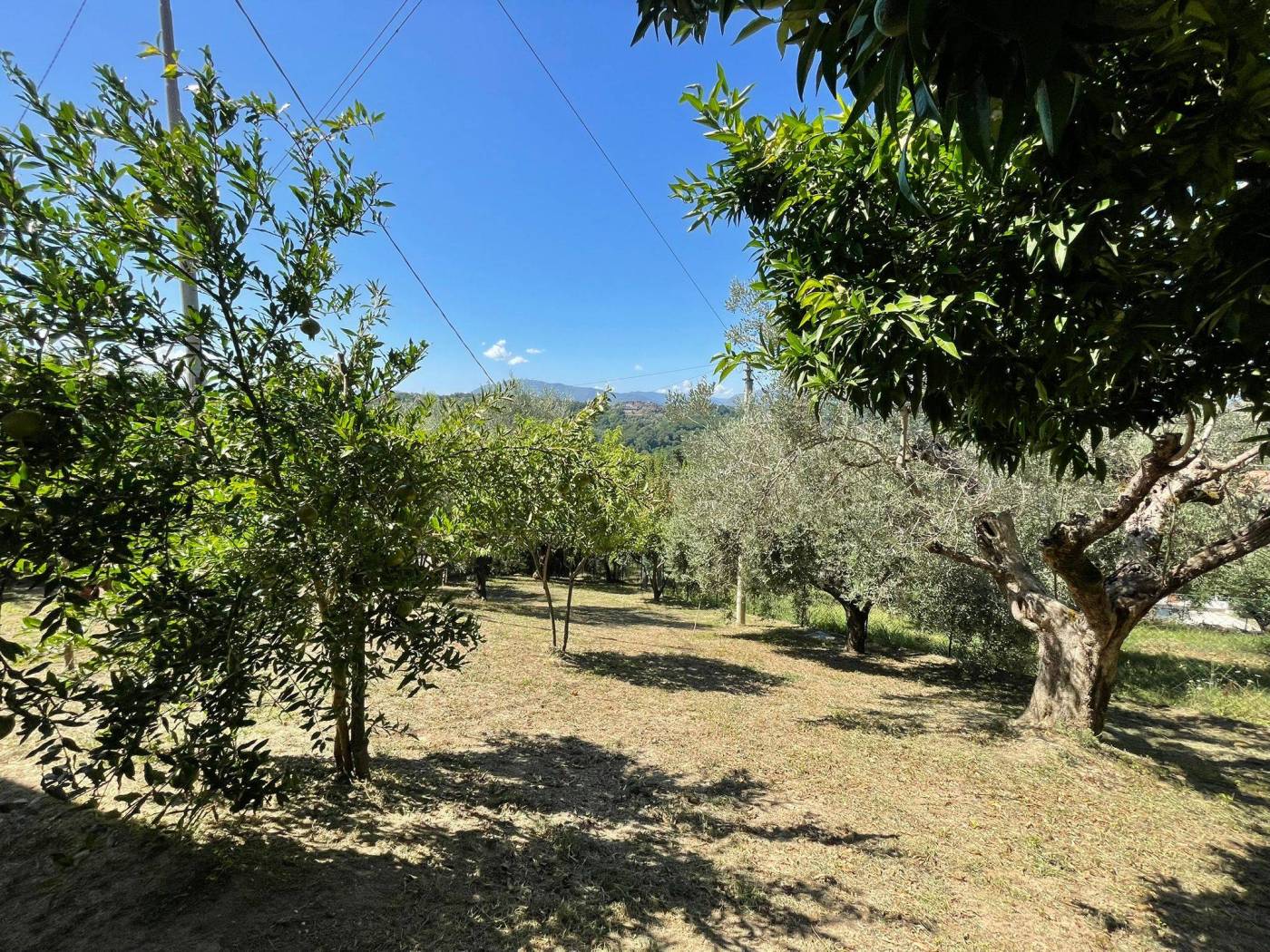 Terreno