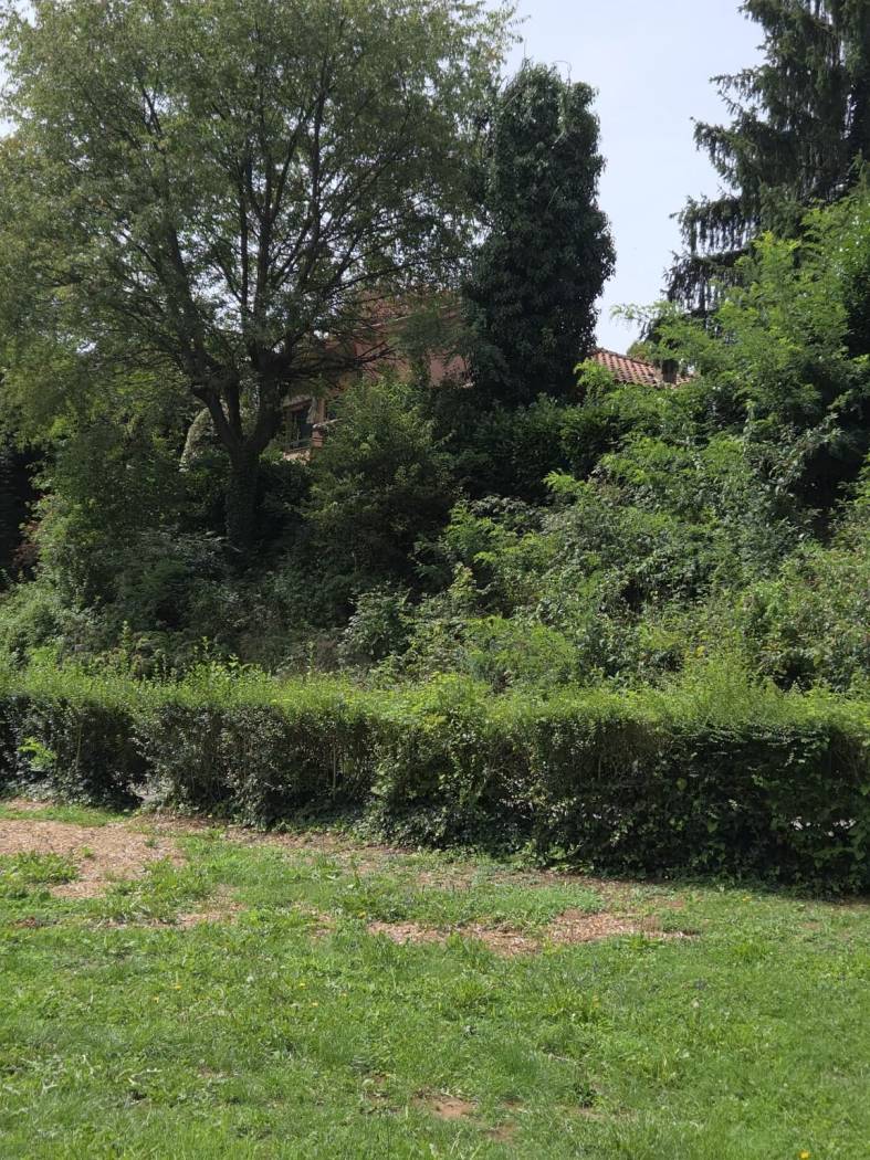 Terreno