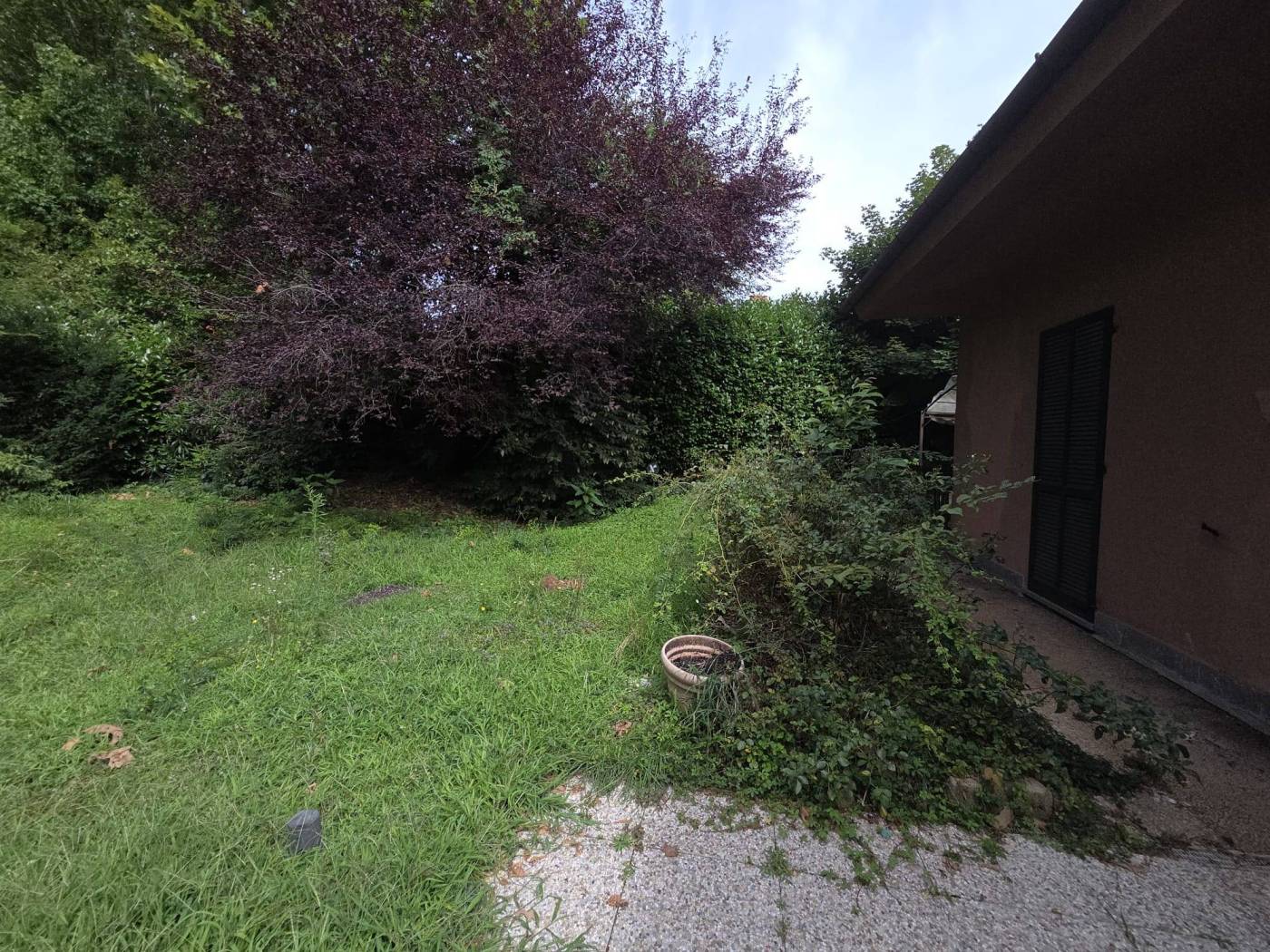 Giardino