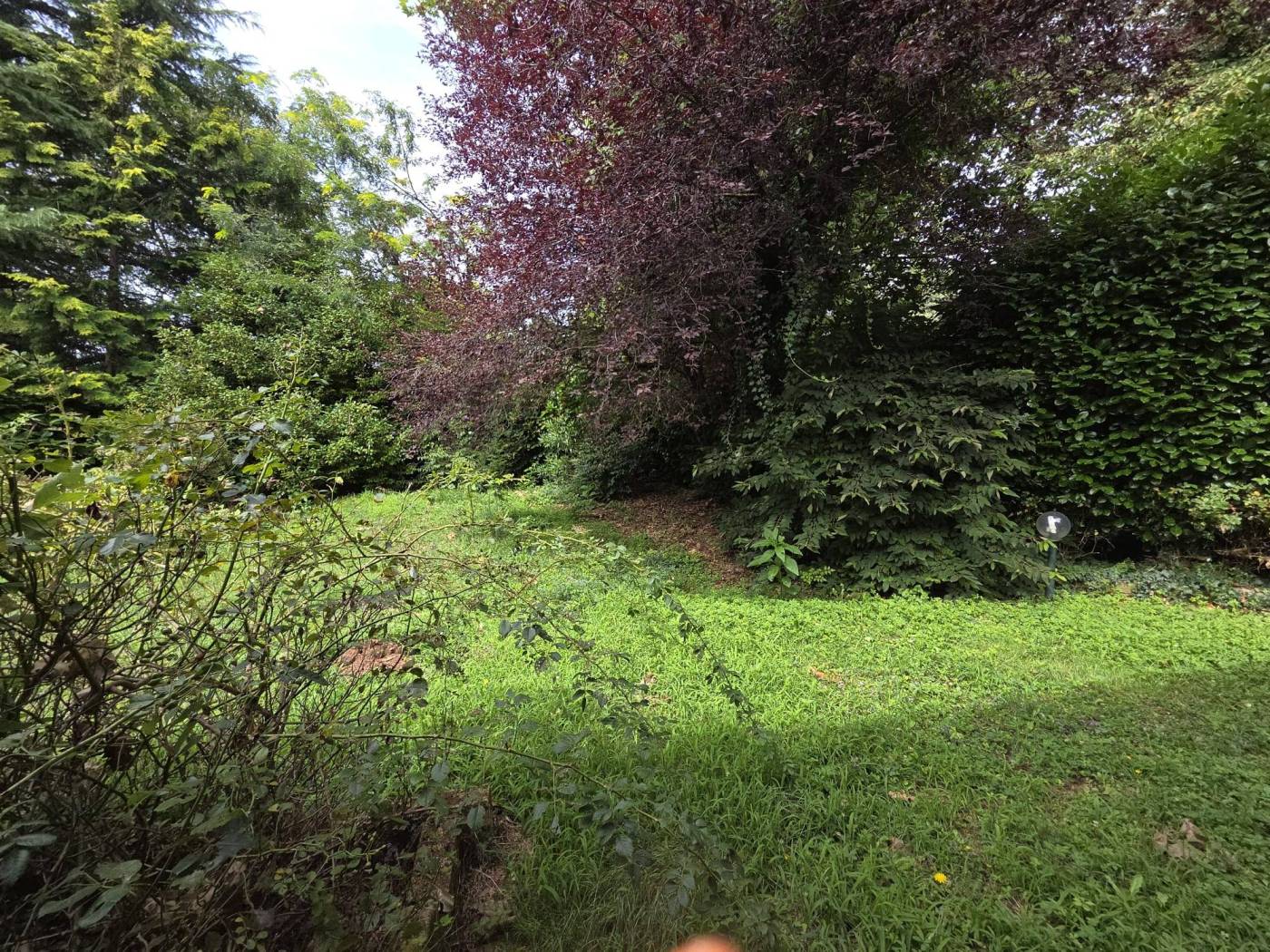 Terreno
