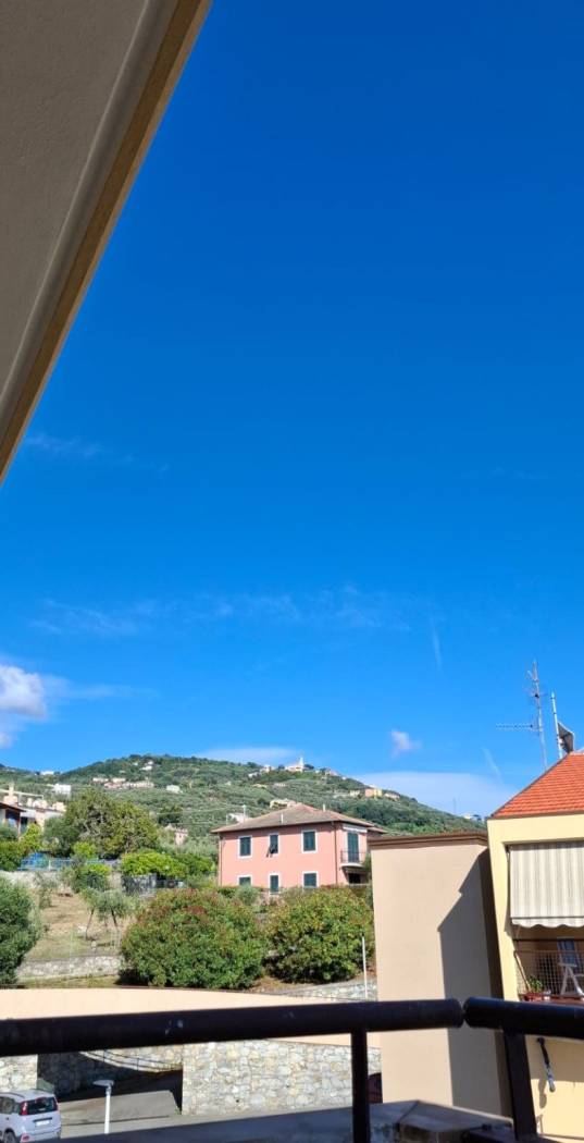 Vista