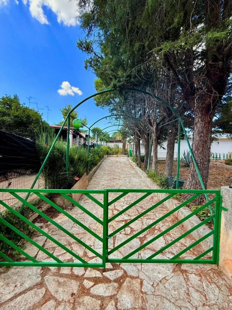 Terreno