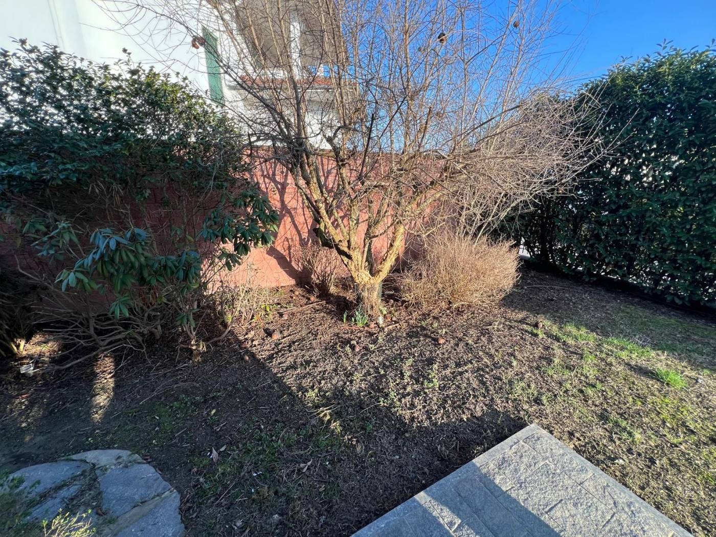 Terreno