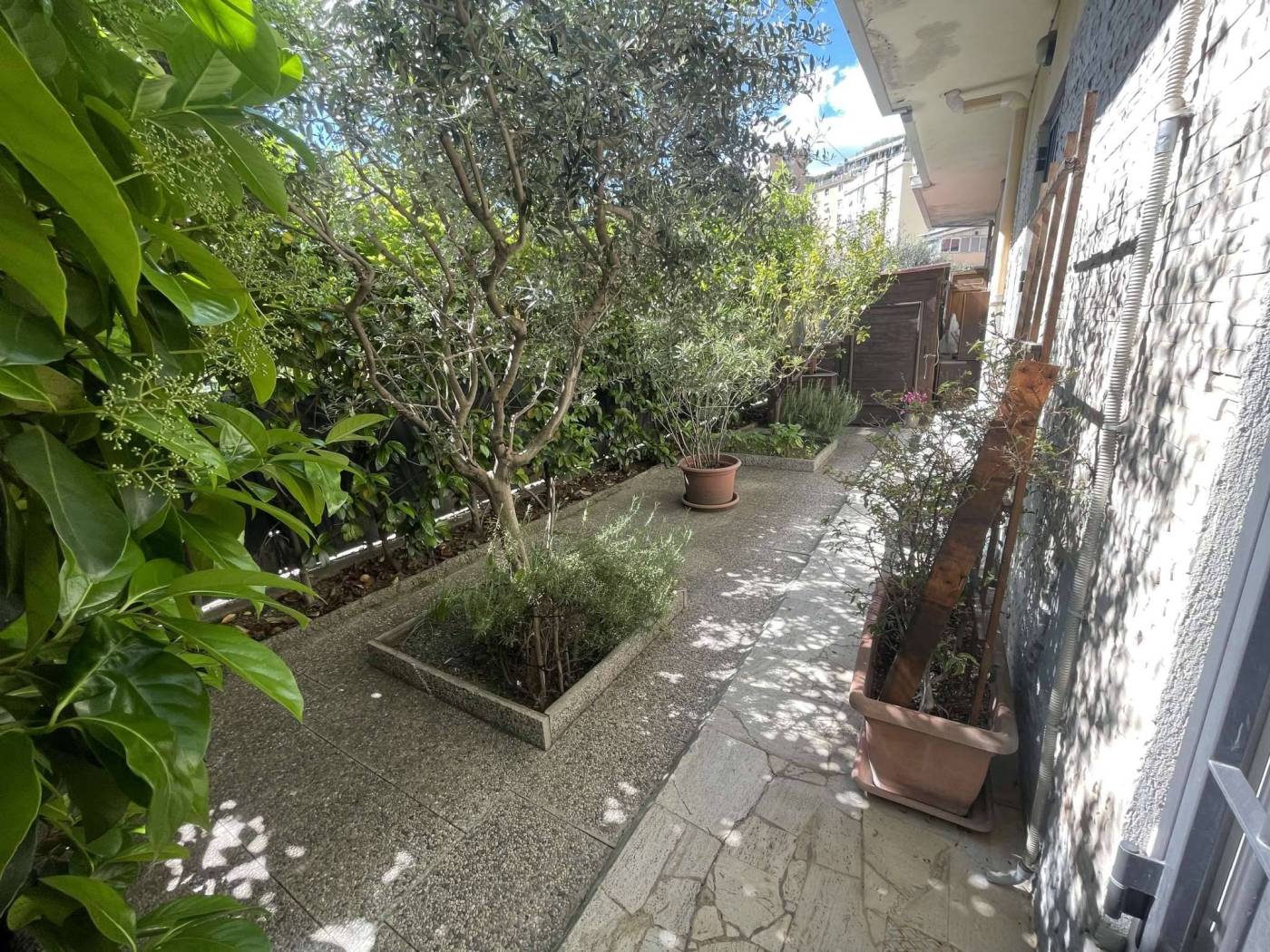 Giardino