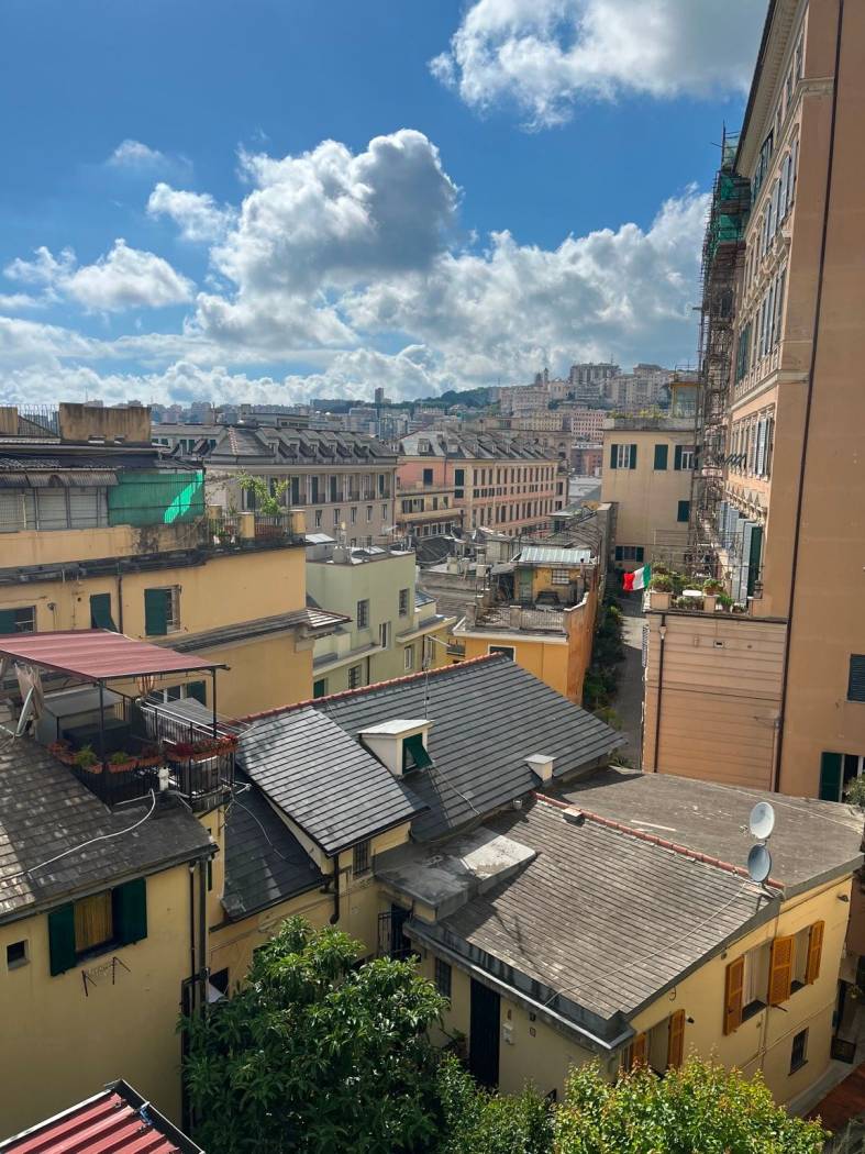 Vista