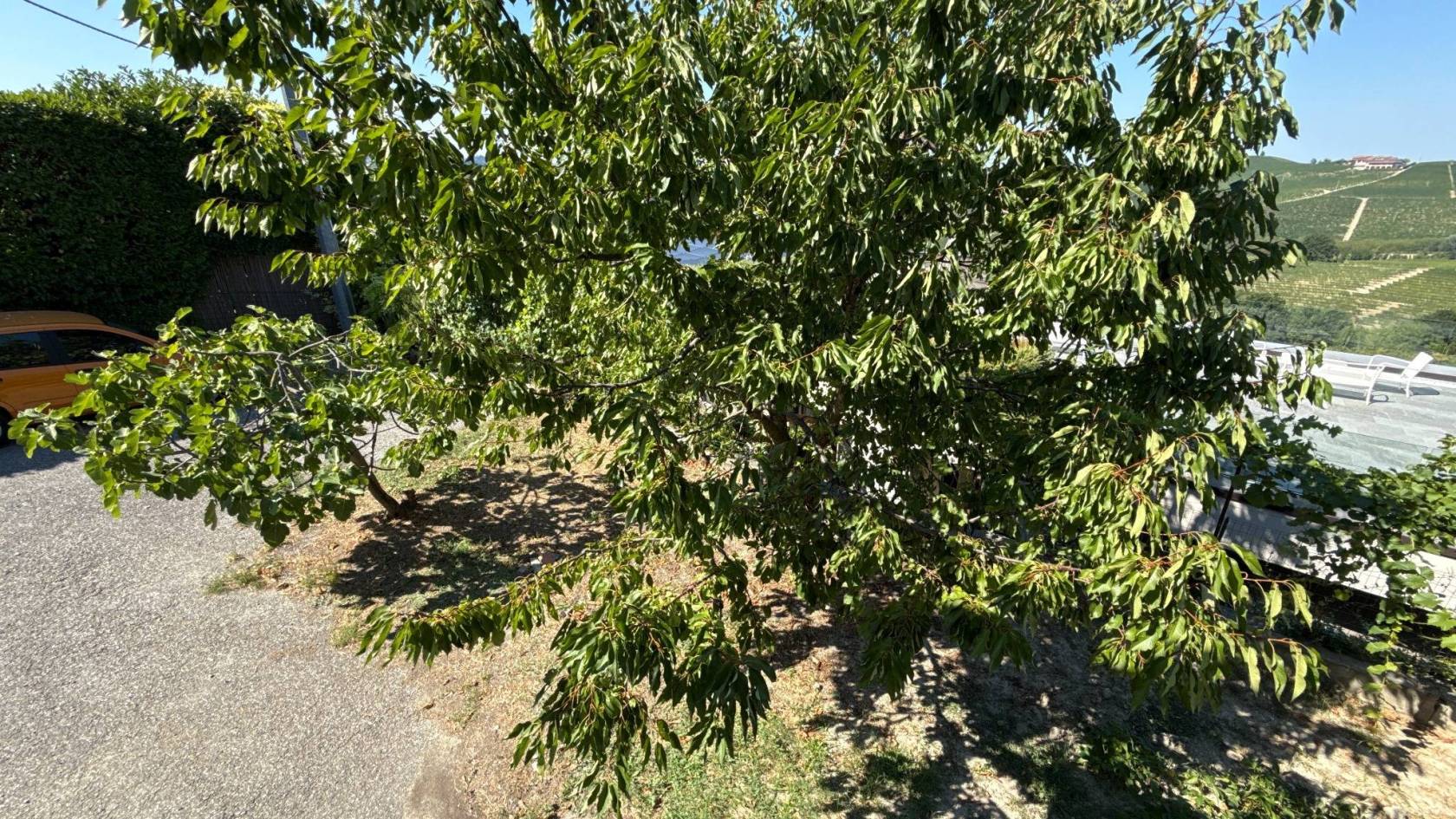 Terreno Terreno