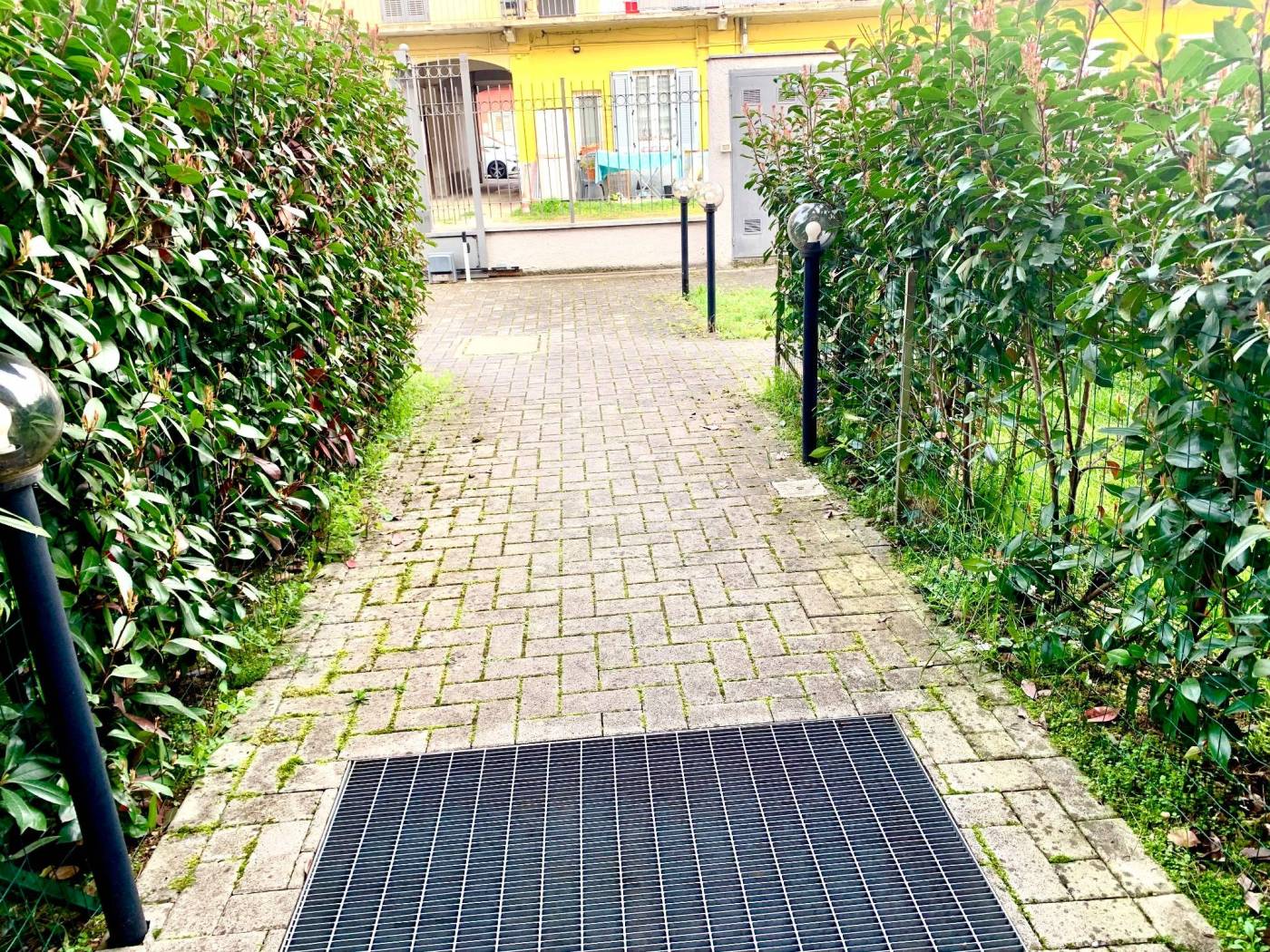 Giardino